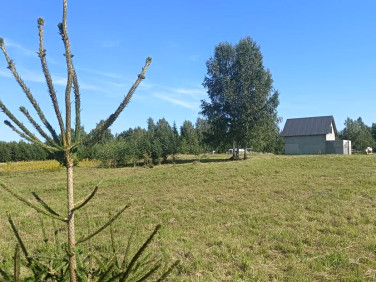 Działka Ostrowite
