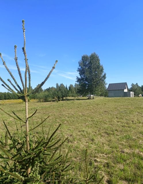 Działka Ostrowite