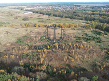 Działka Buk