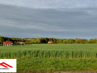 Działka budowlana Bartniczka