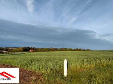 Działka Bartniczka