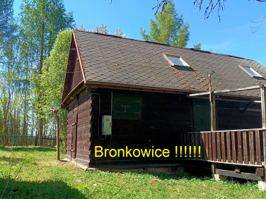 Dom Bronkowice