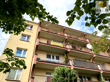 Mieszkanie Biała Podlaska