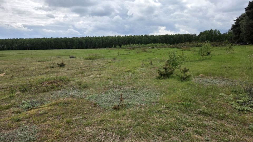 Działka budowlana Józefowo
