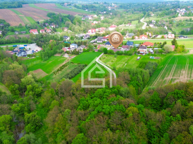 Dom Niedźwiedza sprzedaż