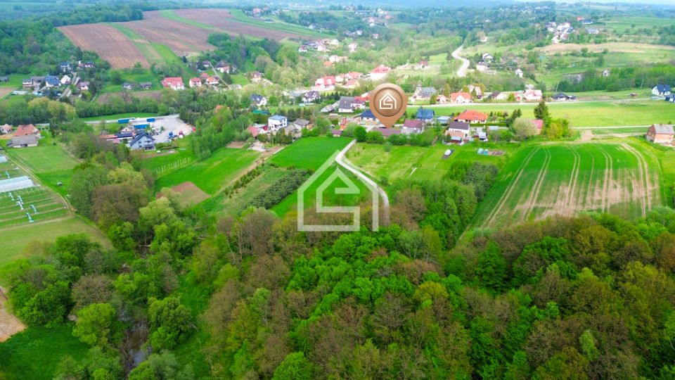 Dom Niedźwiedza sprzedaż
