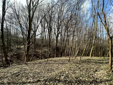 Działka budowlano-rolna Rzeszów