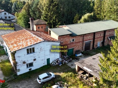 Lokal Tuszyn