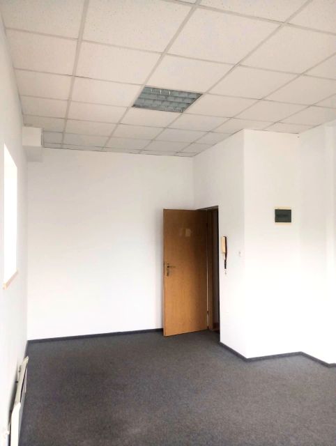Lokal Koło
