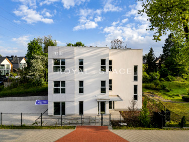 Lokal Kraków