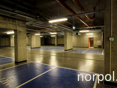 Lokal Kraków