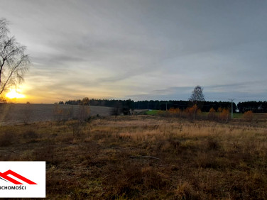 Działka Górzno-Wybudowanie