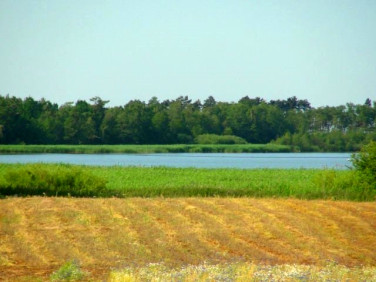 Działka Gleźnówko