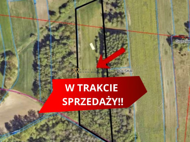 Działka rolna Gruszów Wielki sprzedam