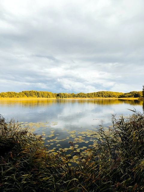 Zdjęcie 3