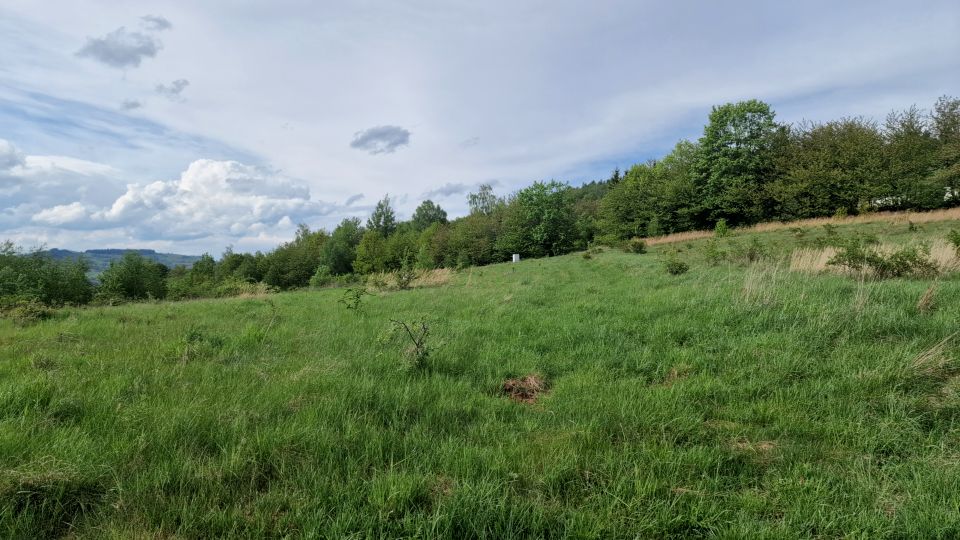 Zdjęcie 3