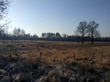 Działka inna Rudziczka