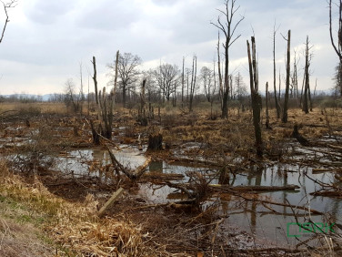 Działka inna Goczałkowice-Zdrój sprzedam