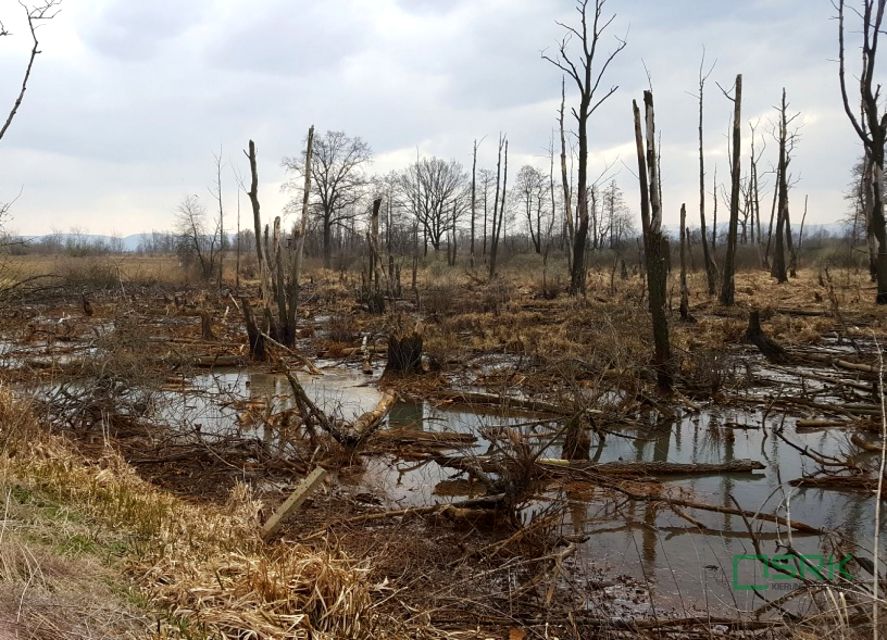 Działka inna Goczałkowice-Zdrój sprzedam