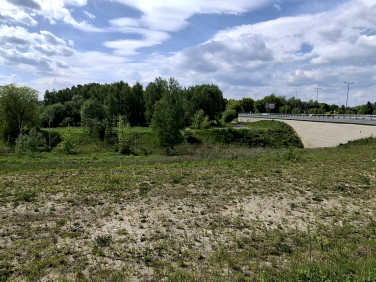 Działka inna Sosnowiec