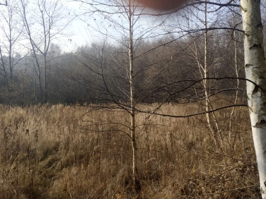 Działka inna Rybnik sprzedam