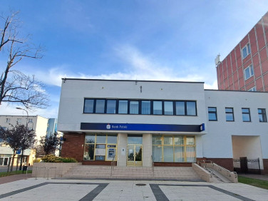 Lokal Stara Biała