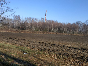 Działka inna Rudziczka