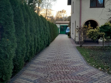 Pokój Złotokłos
