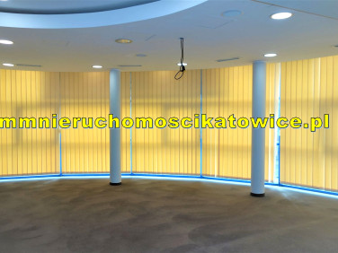 Lokal Katowice