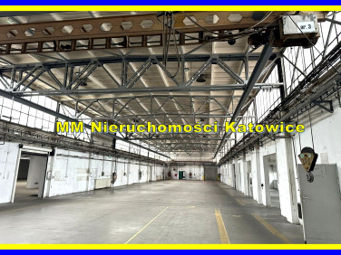 Budynek użytkowy Katowice wynajem