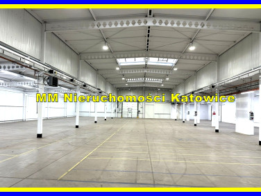 Budynek użytkowy Katowice