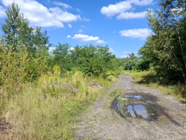 Działka inna Sosnowiec