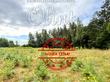 Działka Czarnówko