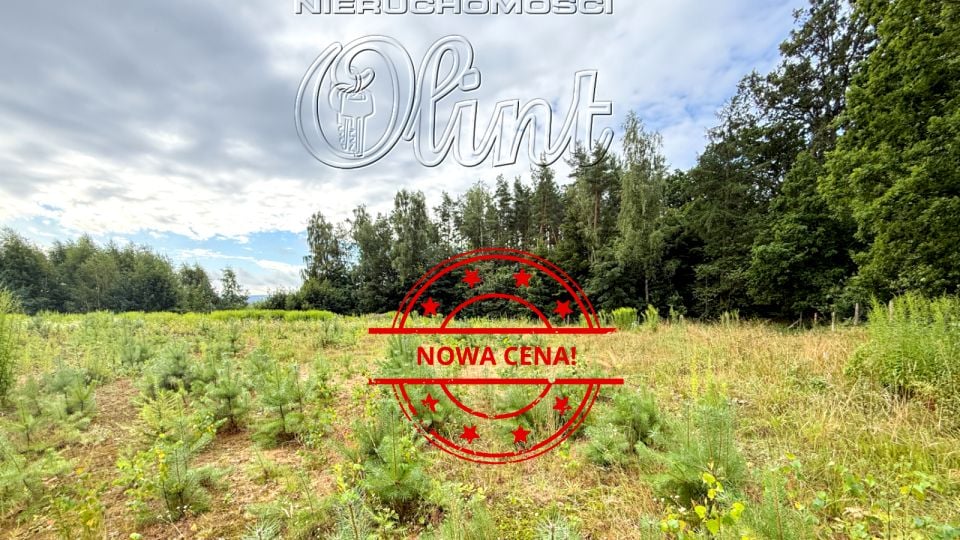 Działka Czarnówko