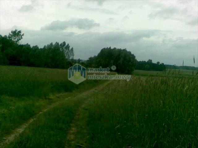 Działka rolna Nowe Radzikowo