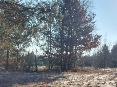 Działka budowlana Chinów