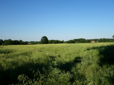 Działka budowlana Siekierowice