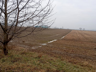 Działka budowlana Wilkowice