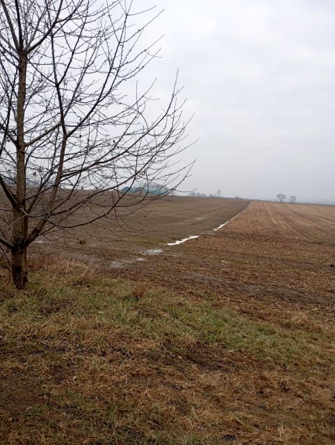 Działka budowlana Wilkowice