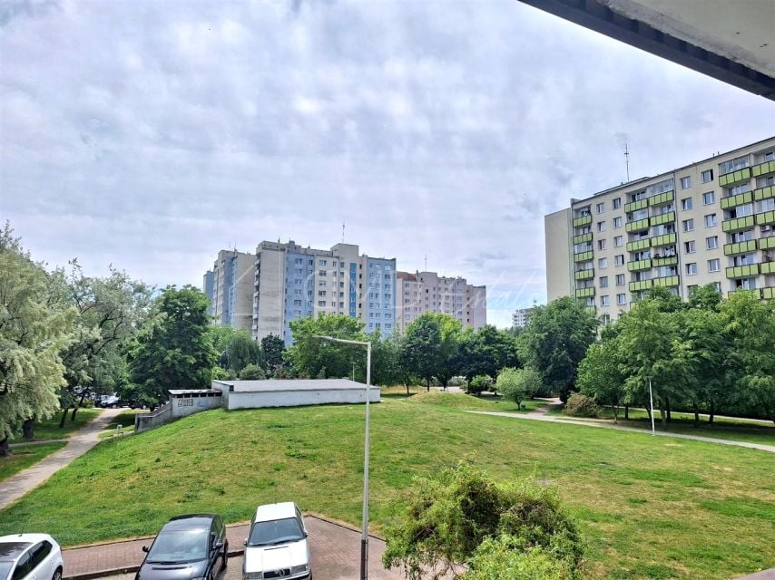 Zdjęcie 2