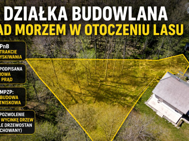Działka Jackowo