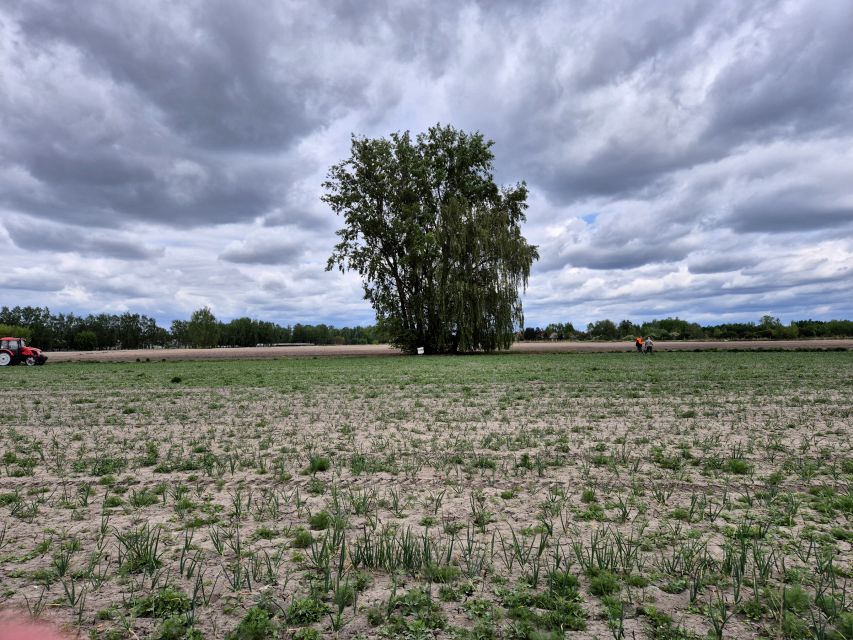 Działka inwestycyjna Warszawa sprzedam