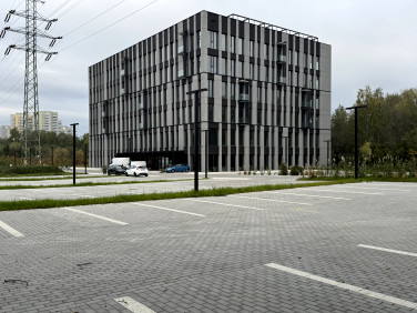 Lokal Katowice