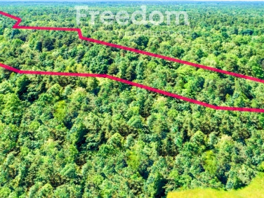 Działka Wołczyny