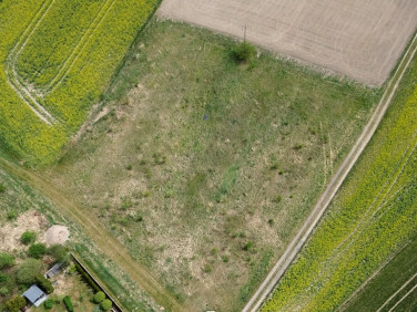 Działka budowlana Bożnów sprzedam