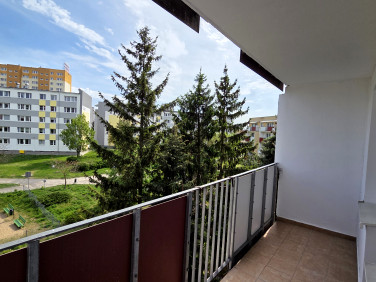 Mieszkanie Poznań
