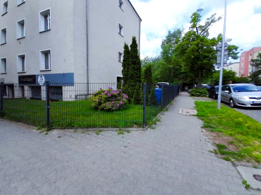 Lokal Poznań
