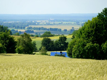 Działka Pietrzwałd
