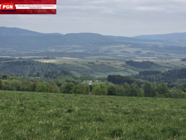 Działka Międzylesie