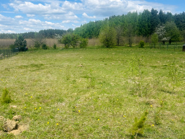 Działka Tomaszyn